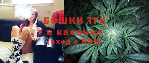 PSILOCYBIN Белокуриха