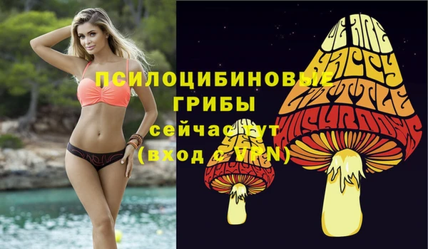 стаф Беломорск