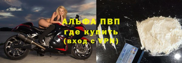 стаф Беломорск