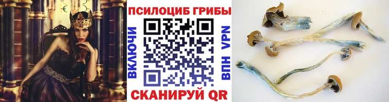 Галлюциногенные грибы GOLDEN TEACHER  omg ТОР  Вятские Поляны  наркотики 