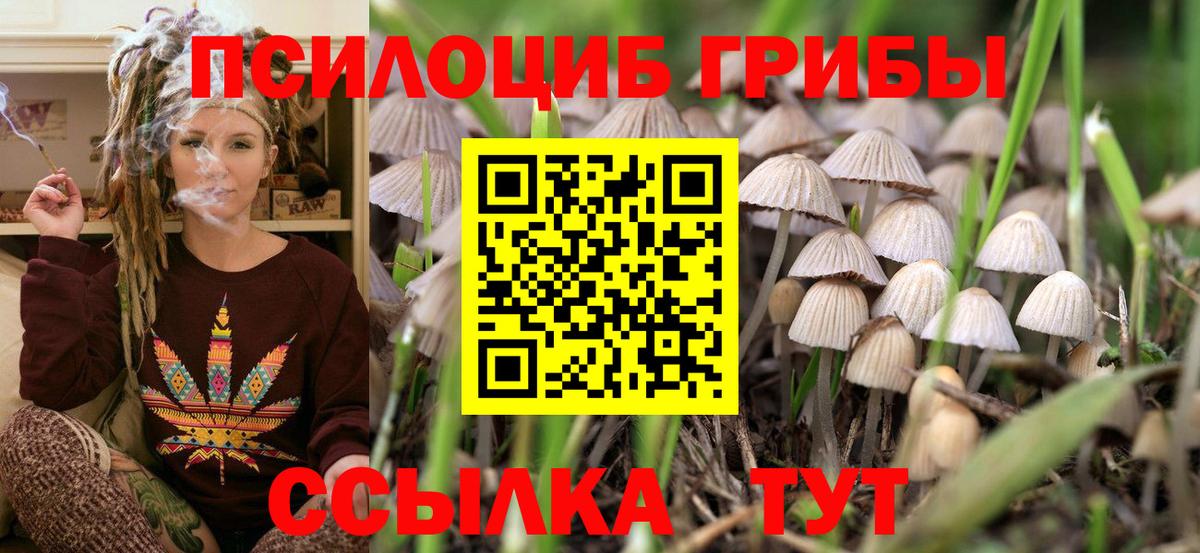 Псилоцибиновые грибы Psilocybe Вятские Поляны