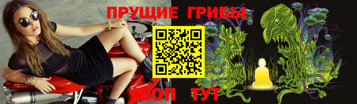 Галлюциногенные грибы Cubensis  как найти закладки  Вятские Поляны  Псилоцибиновые грибы MAGIC MUSHROOMS 