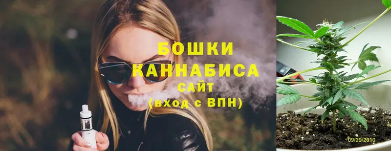 Бошки марихуана SATIVA & INDICA  где можно купить наркотик  mega как войти  Вятские Поляны 